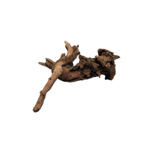 FOUDEBASSIN.COM MANGROVE AGED WOOD SMALL 8715897336744 A4080335