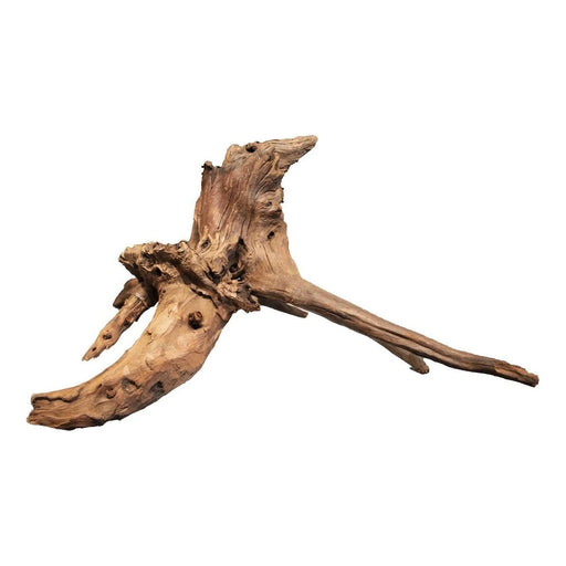 FOUDEBASSIN.COM MANGROVE AGED WOOD X LARGE 8715897336775 A4080350