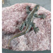 FOUDEBASSIN.COM Mini-Eidechse 6,5cm lang 730001190 90324