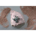 FOUDEBASSIN.COM Mini-Frosch 4 cm lang 340001190 90325