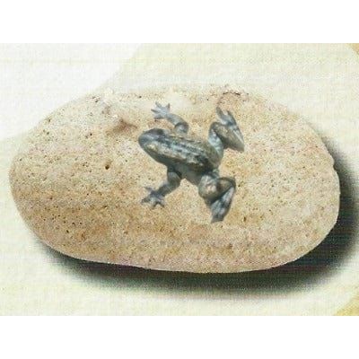 FOUDEBASSIN.COM Mini-Frosch mit Flusskiesel Lamos 5212401390 90325.10