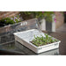 FOUDEBASSIN.COM Mini-serre de culture - terrine, plateau 144 alvéoles, tapis capillaire, couvercle ventilé - H22 x 55 x 31 cm 8711338202036 6020203