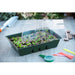 FOUDEBASSIN.COM Mini-serre de culture - terrine, plateau fibres de bois recyclées 12 alvéoles (2x), couvercle - H14 x 33 x 23 cm 8711338202043 6020204