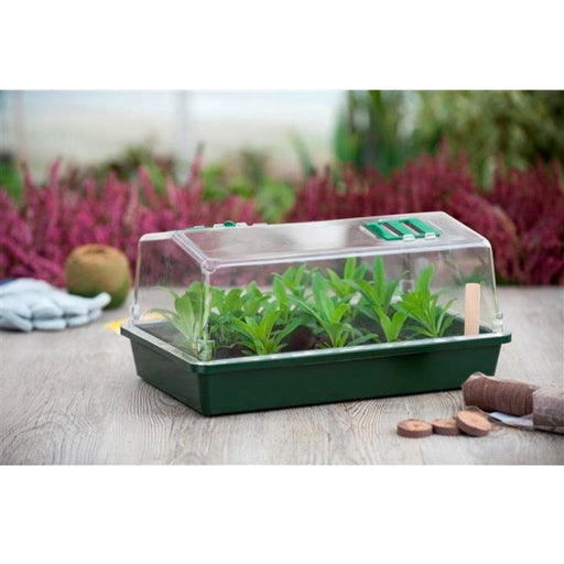 FOUDEBASSIN.COM Mini serre de culture - terrine rigide, couvercle ventilé - H18 x 37,5 x 24 cm 8711338202104 6020210
