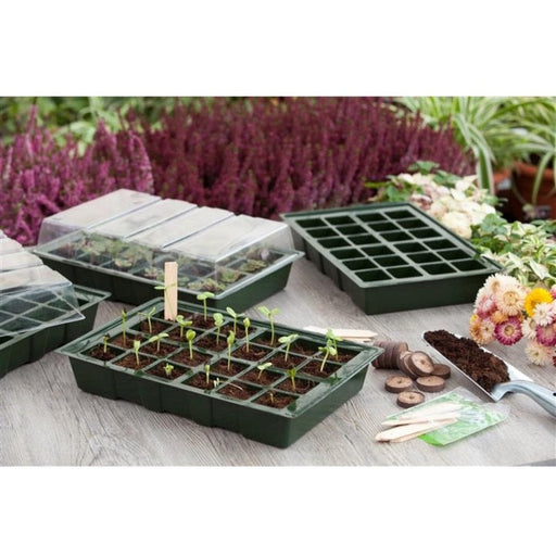 FOUDEBASSIN.COM Mini-serre de culture - terrines (4x), plateau 24 alvéoles (4x), couvercle (2x) - H11 x 35 x 23,5 cm 8711338202029 6020202