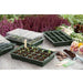 FOUDEBASSIN.COM Mini-serre de culture - terrines (4x), plateau 24 alvéoles (4x), couvercle (2x) - H11 x 35 x 23,5 cm 8711338202029 6020202