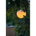 FOUDEBASSIN.COM MultiBright SolarFloat 30 8711465540278 1354027