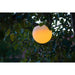FOUDEBASSIN.COM MultiBright SolarFloat 30 8711465540278 1354027