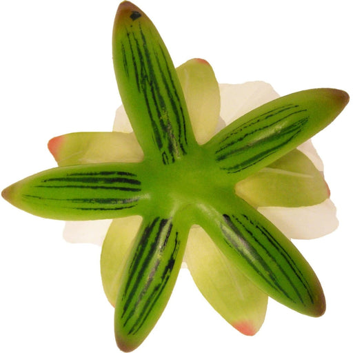 FOUDEBASSIN.COM Nénuphar de décoration - coloris crème - Ø16 cm 8711465894463 1389446