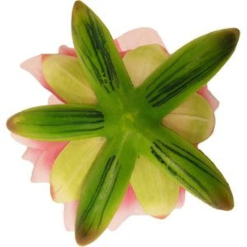 FOUDEBASSIN.COM Nénuphar de décoration - coloris rose - Ø16 cm 8711465894470 1389447