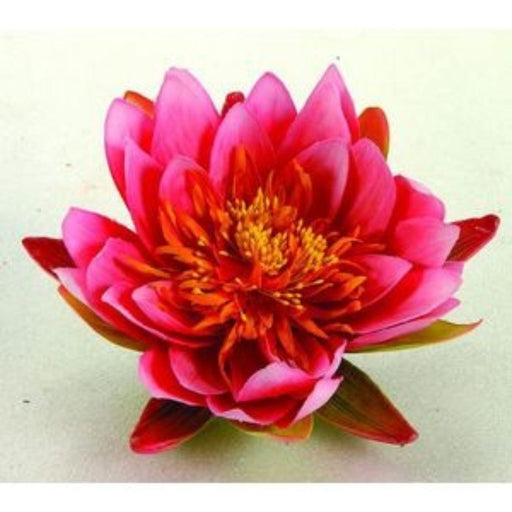 FOUDEBASSIN.COM Nénuphar de décoration - coloris rose - Ø16 cm 8711465894470 1389447