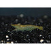 FOUDEBASSIN.COM NEOCARIDINA DAVIDI VAR. GREEN JADE 1,5CM 8715897054433 V1458490