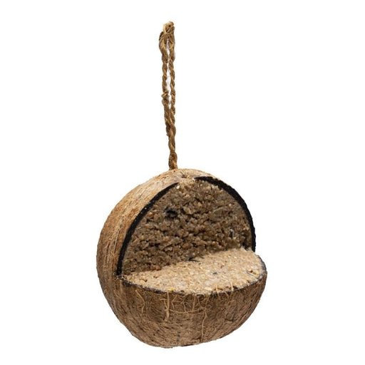 FOUDEBASSIN.COM Nourriture NOIX DE COCO REMPLIE D'HUILE D'INSECTES 400G 5400351006464 17710