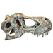 FOUDEBASSIN.COM ORNEMENT DE CRÂNE DE DINOSAURE T-REX - PETIT 0701029829442 K82944