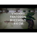 FOUDEBASSIN.COM PANTODON BUCHOLZI 4- 6CM 8715897210181 V1459063