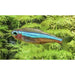 FOUDEBASSIN.COM PARACHEIRODON SIMULANS WILD 1,2-1,5CM 8715897064449 V1459230