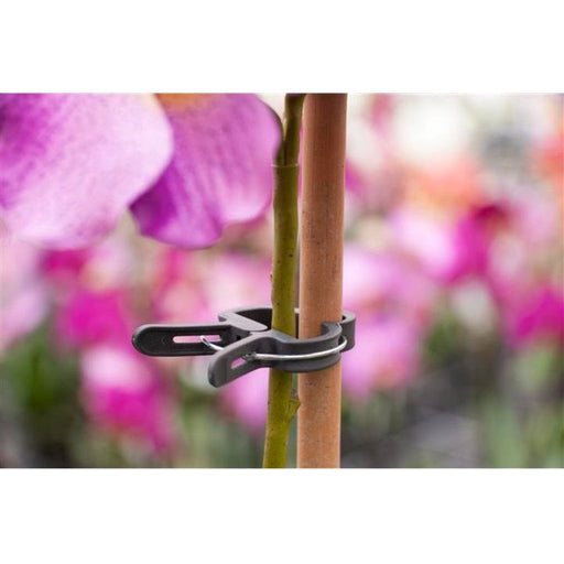 FOUDEBASSIN.COM Pince ajustable de tuteurage, verte - Ø18 mm - 5 x 8711338404294 6040429