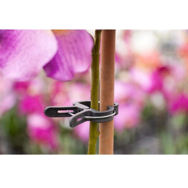 FOUDEBASSIN.COM Pince ajustable de tuteurage, verte - Ø24 mm - 10 x 8711338404386 6040438