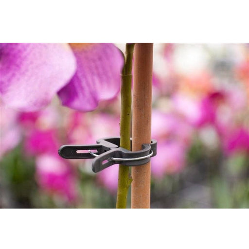 FOUDEBASSIN.COM Pince ajustable de tuteurage, verte - Ø35 mm - 5 x 8711338404393 6040439