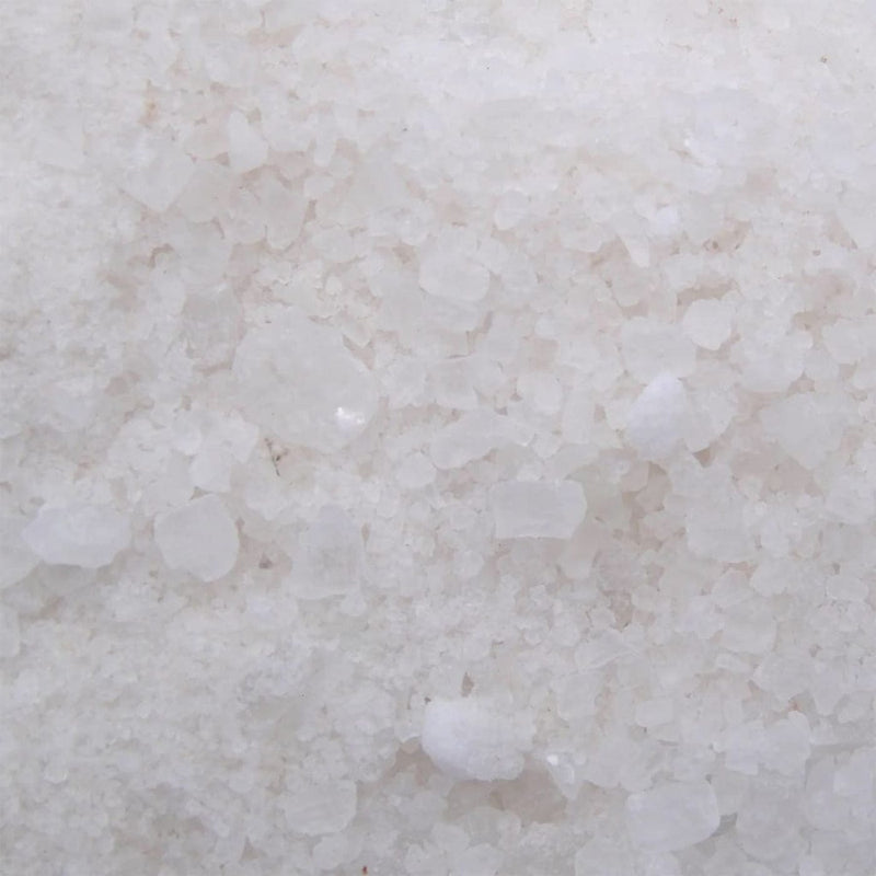 FOUDEBASSIN.COM PondSalt® -  - 10 l 8711465740258 1374025