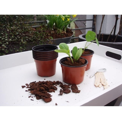 FOUDEBASSIN.COM Pots de bouturage en polypropylène - H7 x Ø9,5 cm - 8 x 8711338201121 6020112
