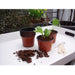 FOUDEBASSIN.COM Pots de bouturage en polypropylène - H7 x Ø9,5 cm - 8 x 8711338201121 6020112