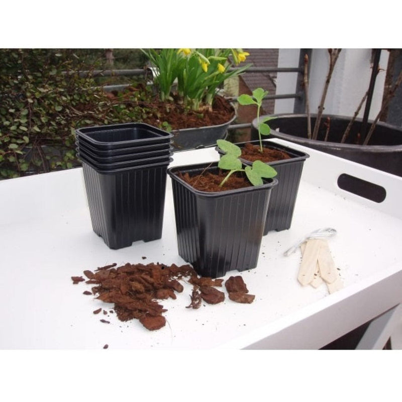 FOUDEBASSIN.COM Pots de bouturage en polystyrène - H9,5 x 9 x 9 cm - 7 x\ 8711338201114 6020111