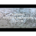 FOUDEBASSIN.COM PRISTELLA MAXILLARIS 1,5-2CM 8715897209659 V1459953