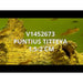 FOUDEBASSIN.COM PUNTIUS TITTEYA 1,5-2CM 8715897211652 V1452673