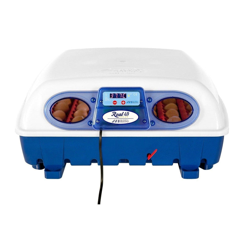 FOUDEBASSIN.COM REAL 49 INCUBATEUR SEMI-AUTOMATIQUE