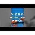 FOUDEBASSIN.COM RED RYUKIN 9-10 CM 8715897010637 V1222910