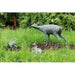 FOUDEBASSIN.COM Rehgeiß 108 cm lang 760139000 88286