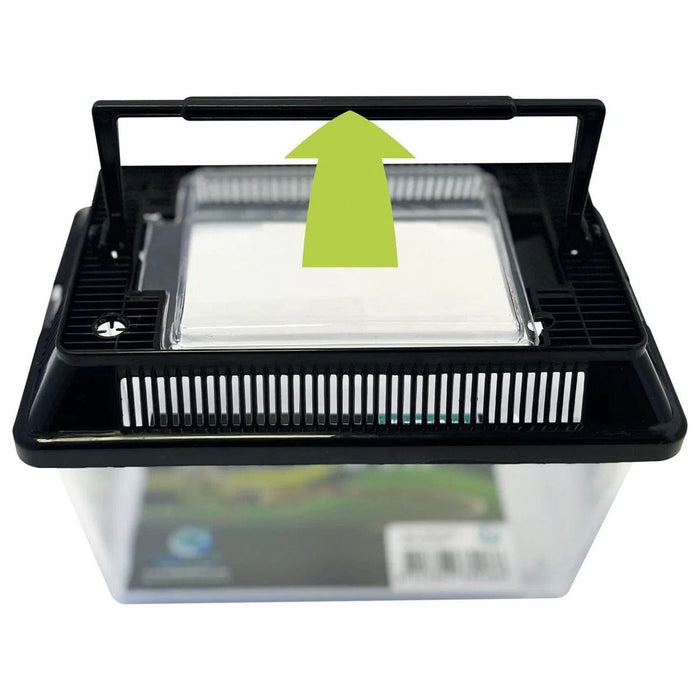 FOUDEBASSIN.COM REPTO BOX 18 X 11 X 12CM 8715897339486 R1100225