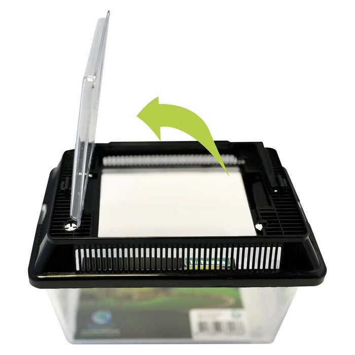 FOUDEBASSIN.COM REPTO BOX 18 X 11 X 12CM 8715897339486 R1100225
