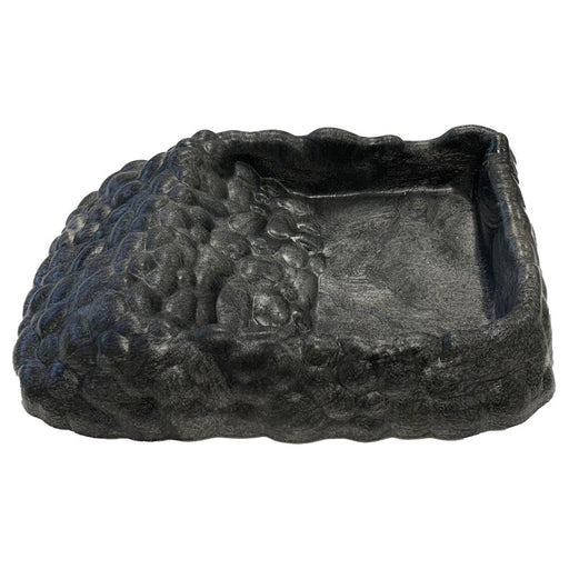FOUDEBASSIN.COM REPTO DECO TORTOISE DISH GREY XL 8715897346071 R3100135