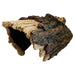 FOUDEBASSIN.COM REPTO DECO WOOD HOME XL 8715897339844 R5100140
