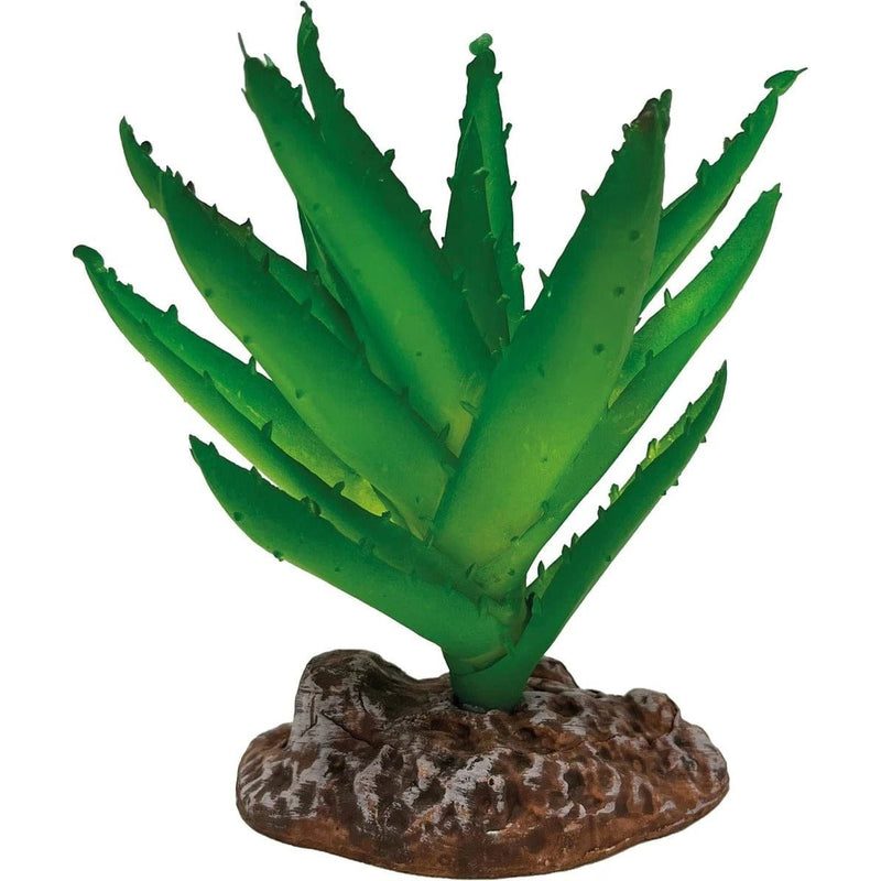 FOUDEBASSIN.COM REPTO PLANT ALOE VERA 8715897339653 R5100045