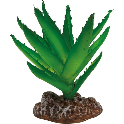 FOUDEBASSIN.COM REPTO PLANT ALOE VERA 8715897339653 R5100045