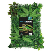 FOUDEBASSIN.COM REPTO PLANT BACK WALL MAT 40-60 CM 1 8715897339608 R5100020