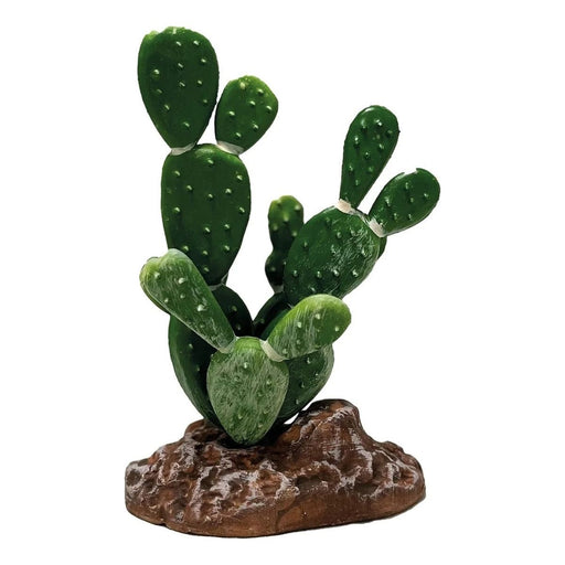 FOUDEBASSIN.COM REPTO PLANT CACTUS OPUNTIA 8715897339660 R5100050