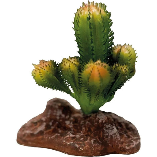 FOUDEBASSIN.COM REPTO PLANT CACTUS 8715897339639 R5100035