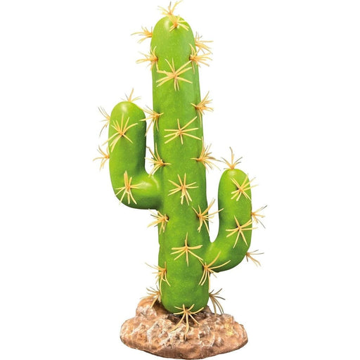 FOUDEBASSIN.COM REPTO PLANT CACTUS SAN PEDRO 8715897339691 R5100065