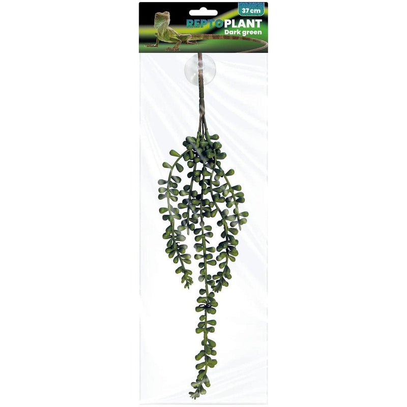 FOUDEBASSIN.COM REPTO PLANT DARK GREEN 37 CM 8715897339721 R5100080
