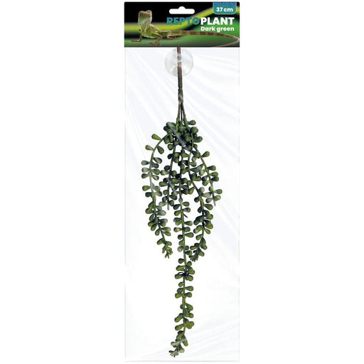 FOUDEBASSIN.COM REPTO PLANT DARK GREEN 37 CM 8715897339721 R5100080