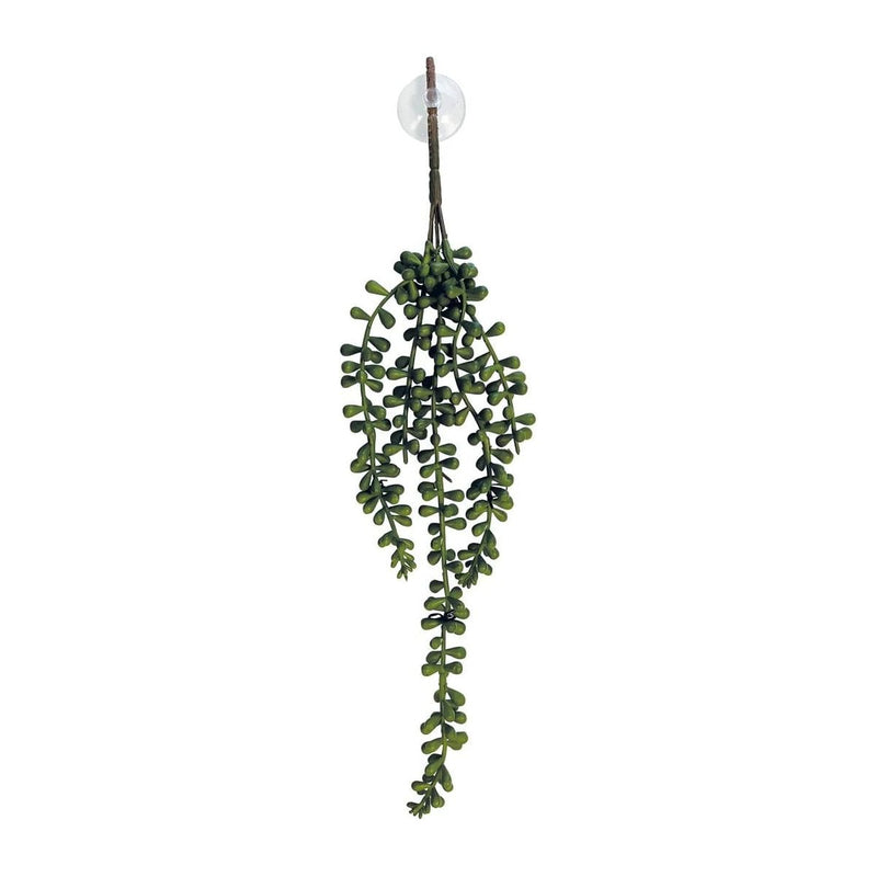 FOUDEBASSIN.COM REPTO PLANT DARK GREEN 37 CM 8715897339721 R5100080