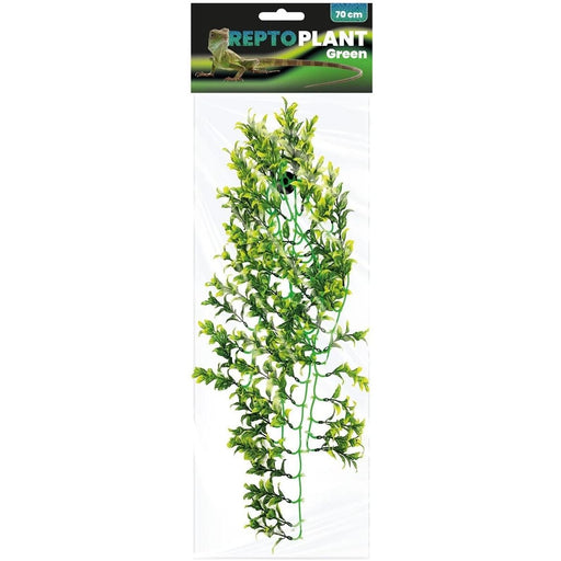 FOUDEBASSIN.COM REPTO PLANT GREEN/YELLOW 70 CM 8715897339745 R5100090
