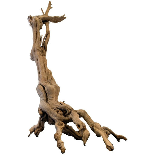 FOUDEBASSIN.COM REPTO SANDBLASTED GRAPEVINE BRANCH SIZE M 8715897344077 R5100260