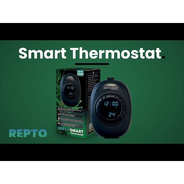 FOUDEBASSIN.COM REPTO SMART THERMOSTAT 8715897346378 R3300030