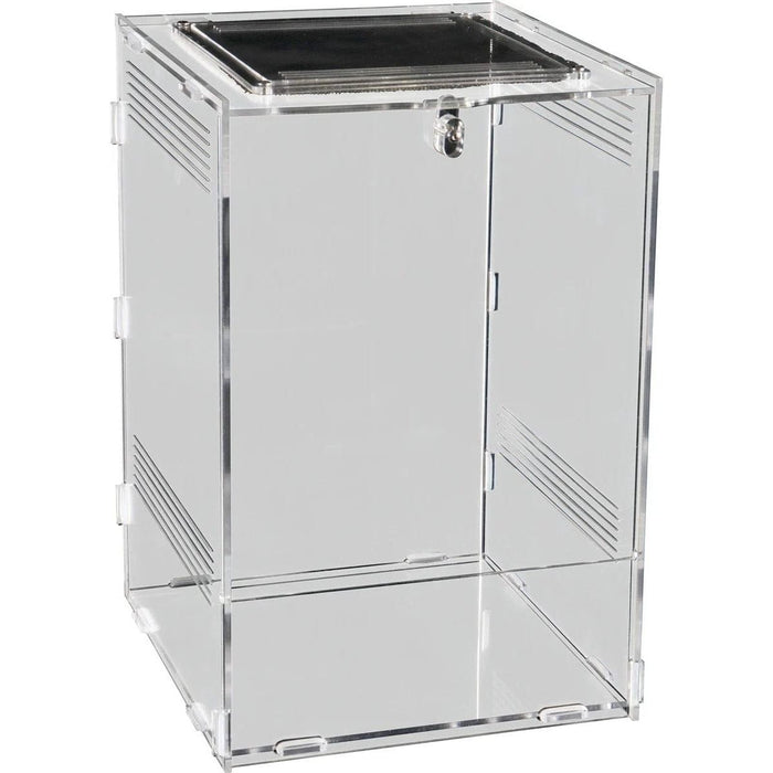 FOUDEBASSIN.COM REPTO TERRA CLEAR 19,5X18,5X29 8715897346484 R1100760