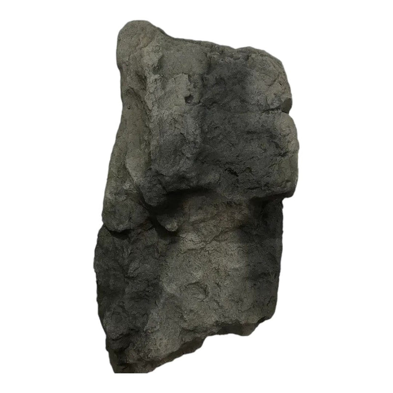 FOUDEBASSIN.COM Roche Artificielle Rockways RW2